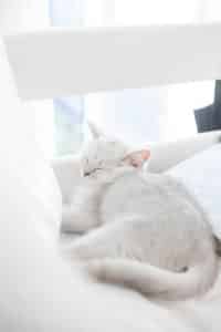 100% natural, eco-friendly cleaning products