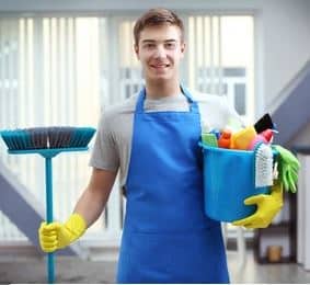 Professional Cleaner