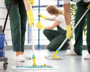 Women of professional cleaning services