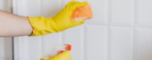 5-professional-aeg-cleaning-services