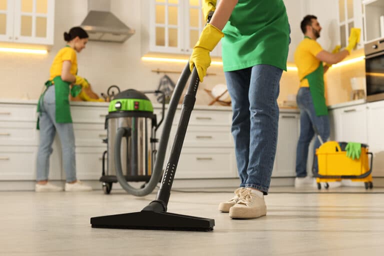 Professional Cleaners working