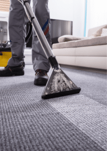 Carpet Cleaning