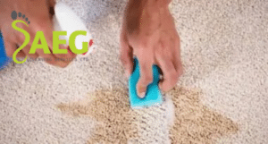 Get Paint Out of the Carpet