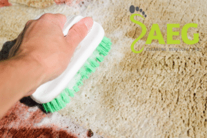 get mold out of carpet