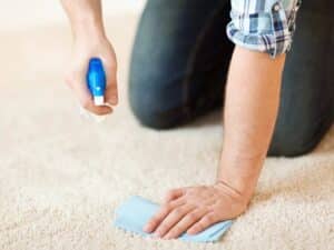 get mold out of carpet